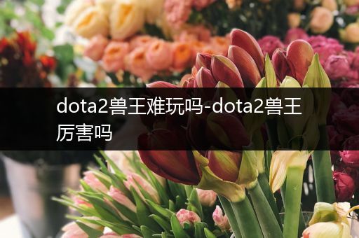 dota2兽王难玩吗-dota2兽王厉害吗