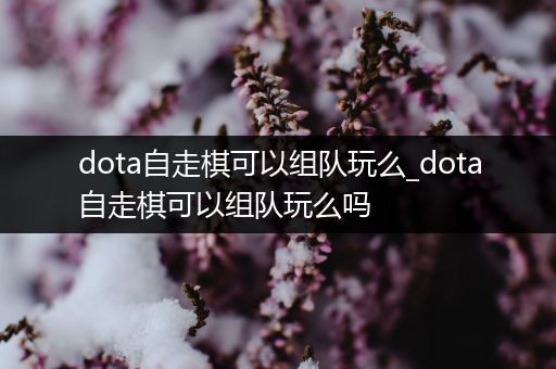 dota自走棋可以组队玩么_dota自走棋可以组队玩么吗