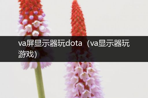 va屏显示器玩dota（va显示器玩游戏）