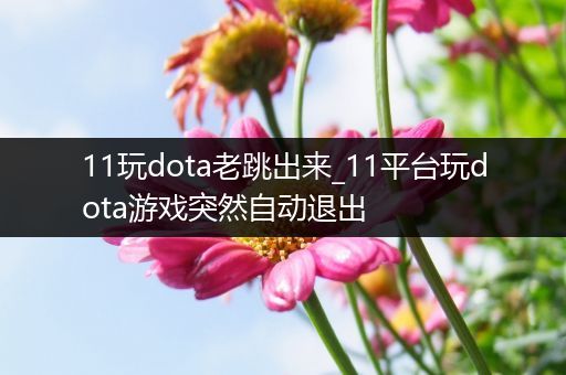 11玩dota老跳出来_11平台玩dota游戏突然自动退出