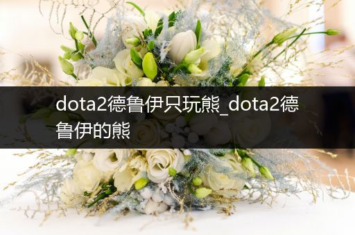 dota2德鲁伊只玩熊_dota2德鲁伊的熊