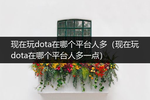 现在玩dota在哪个平台人多（现在玩dota在哪个平台人多一点）