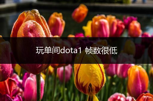 玩单间dota1 帧数很低