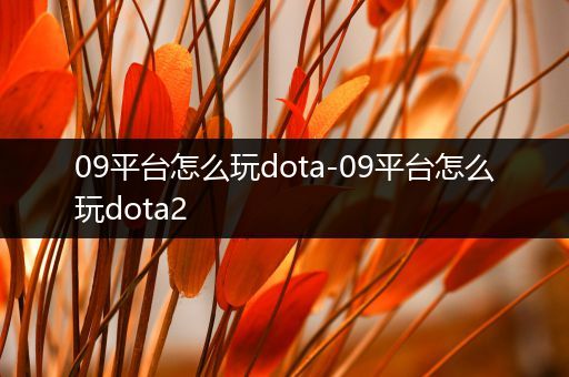 09平台怎么玩dota-09平台怎么玩dota2