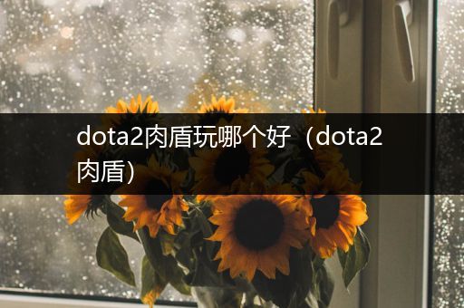 dota2肉盾玩哪个好（dota2 肉盾）