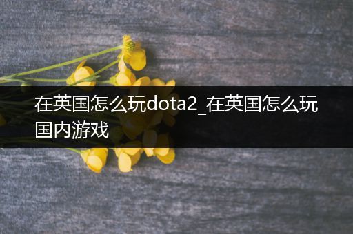 在英国怎么玩dota2_在英国怎么玩国内游戏