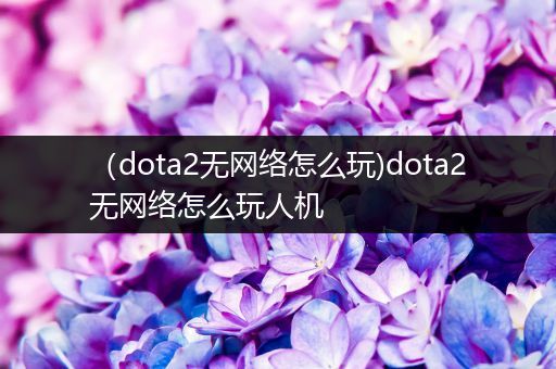 （dota2无网络怎么玩)dota2无网络怎么玩人机