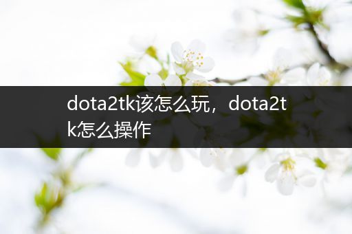 dota2tk该怎么玩，dota2tk怎么操作