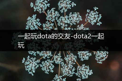 一起玩dota的交友-dota2一起玩