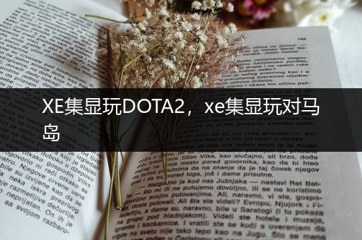 XE集显玩DOTA2，xe集显玩对马岛