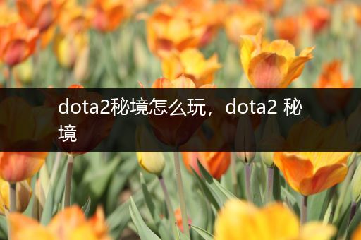 dota2秘境怎么玩，dota2 秘境