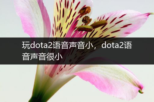 玩dota2语音声音小，dota2语音声音很小