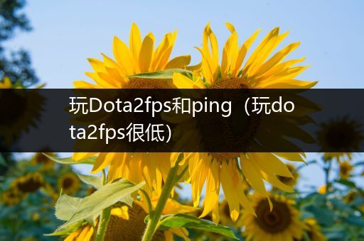 玩Dota2fps和ping（玩dota2fps很低）