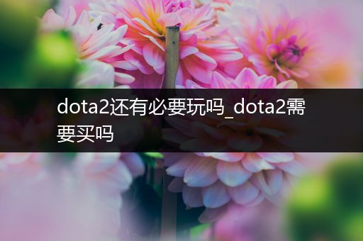 dota2还有必要玩吗_dota2需要买吗