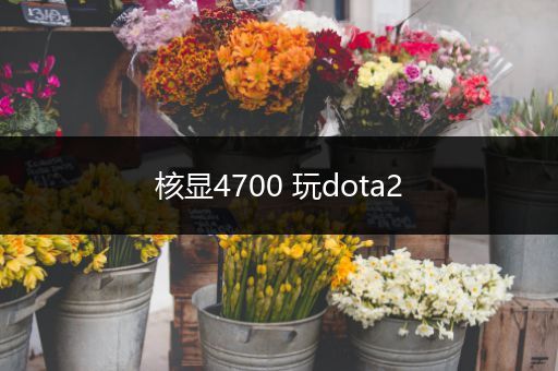 核显4700 玩dota2