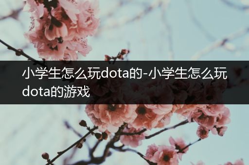 小学生怎么玩dota的-小学生怎么玩dota的游戏
