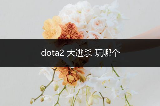 dota2 大逃杀 玩哪个