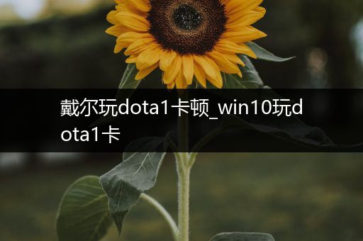 戴尔玩dota1卡顿_win10玩dota1卡