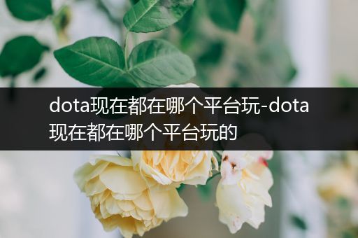 dota现在都在哪个平台玩-dota现在都在哪个平台玩的