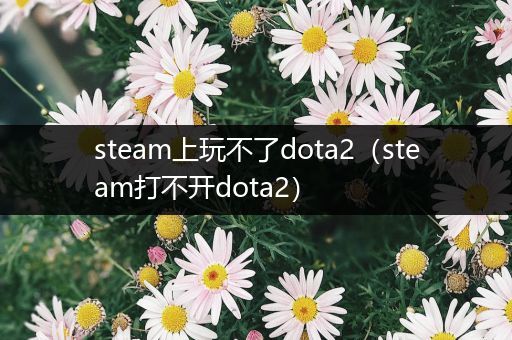 steam上玩不了dota2（steam打不开dota2）