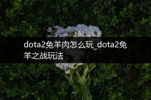 dota2兔羊肉怎么玩_dota2兔羊之战玩法