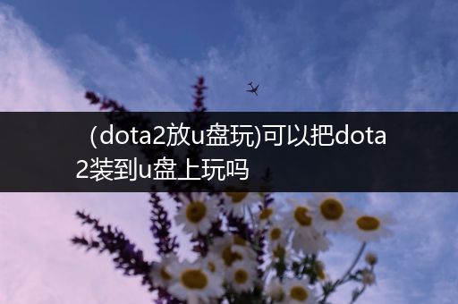 （dota2放u盘玩)可以把dota2装到u盘上玩吗