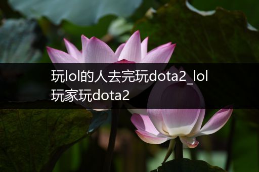 玩lol的人去完玩dota2_lol玩家玩dota2