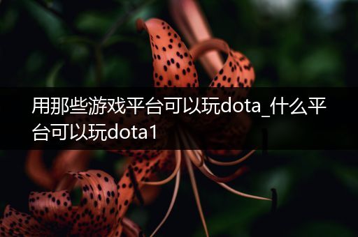 用那些游戏平台可以玩dota_什么平台可以玩dota1
