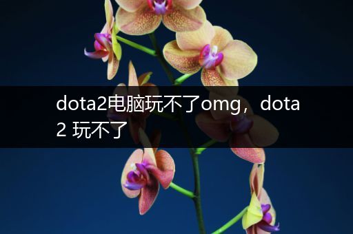 dota2电脑玩不了omg，dota2 玩不了