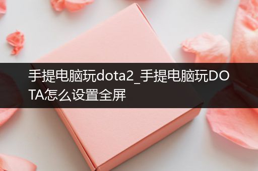 手提电脑玩dota2_手提电脑玩DOTA怎么设置全屏