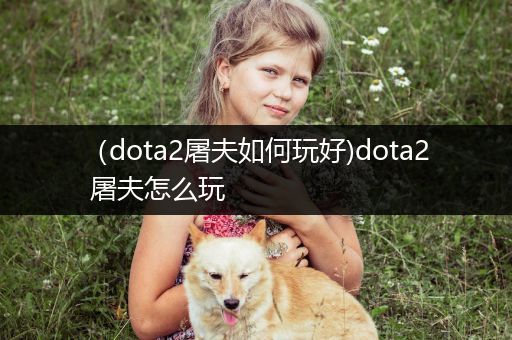 （dota2屠夫如何玩好)dota2 屠夫怎么玩