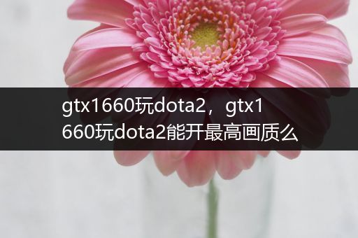 gtx1660玩dota2，gtx1660玩dota2能开最高画质么