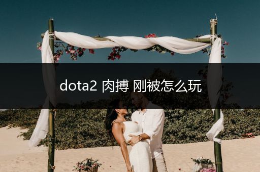 dota2 肉搏 刚被怎么玩