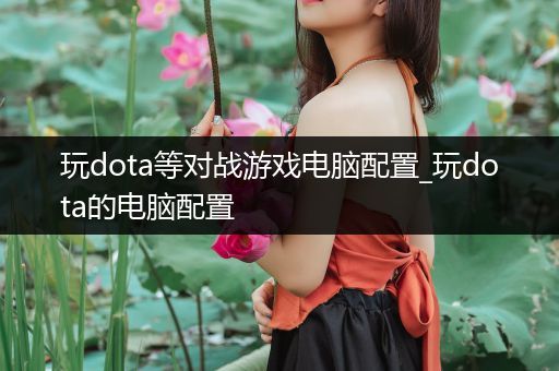 玩dota等对战游戏电脑配置_玩dota的电脑配置