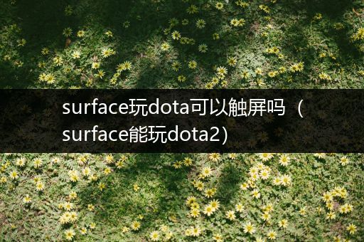 surface玩dota可以触屏吗（surface能玩dota2）