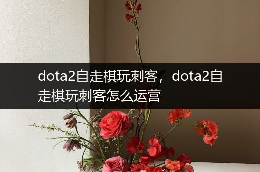 dota2自走棋玩刺客，dota2自走棋玩刺客怎么运营