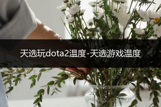 天选玩dota2温度-天选游戏温度