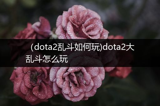 （dota2乱斗如何玩)dota2大乱斗怎么玩