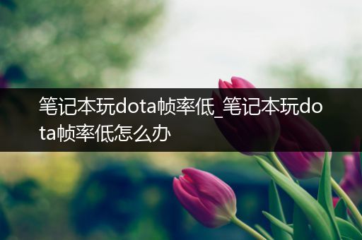 笔记本玩dota帧率低_笔记本玩dota帧率低怎么办