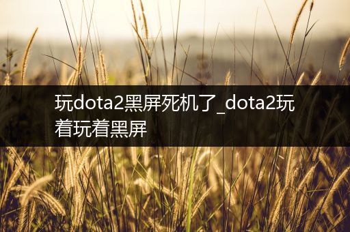 玩dota2黑屏死机了_dota2玩着玩着黑屏