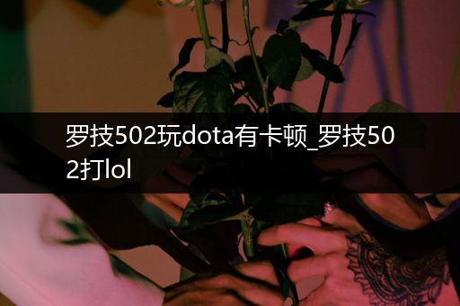 罗技502玩dota有卡顿_罗技502打lol