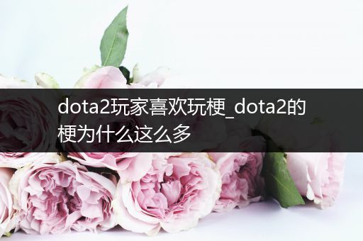 dota2玩家喜欢玩梗_dota2的梗为什么这么多