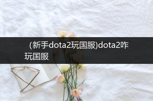 （新手dota2玩国服)dota2咋玩国服