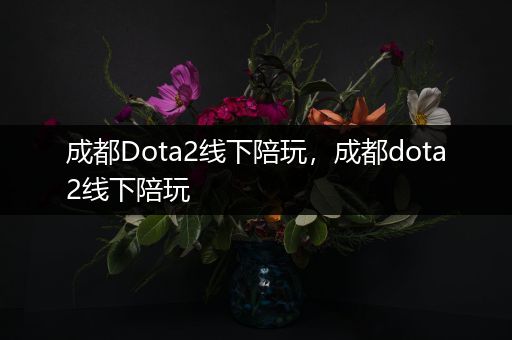 成都Dota2线下陪玩，成都dota2线下陪玩