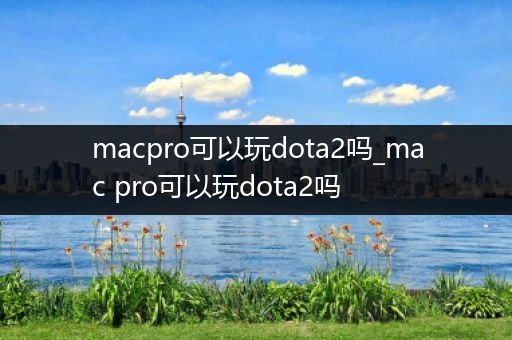 macpro可以玩dota2吗_mac pro可以玩dota2吗