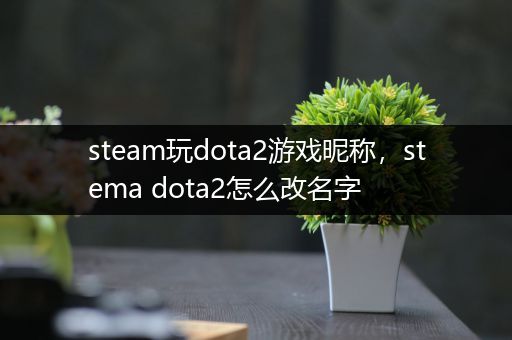 steam玩dota2游戏昵称，stema dota2怎么改名字