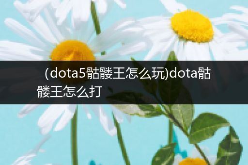 （dota5骷髅王怎么玩)dota骷髅王怎么打