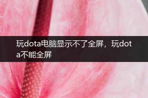 玩dota电脑显示不了全屏，玩dota不能全屏