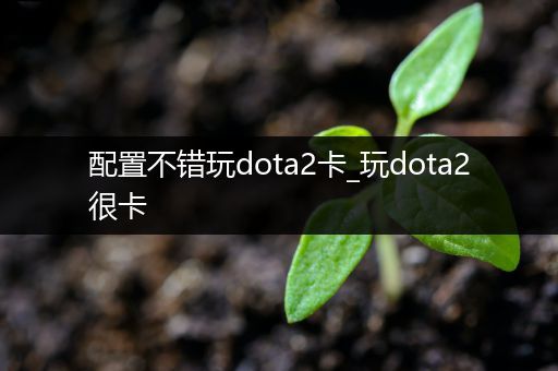 配置不错玩dota2卡_玩dota2很卡