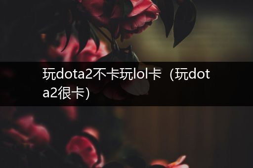 玩dota2不卡玩lol卡（玩dota2很卡）